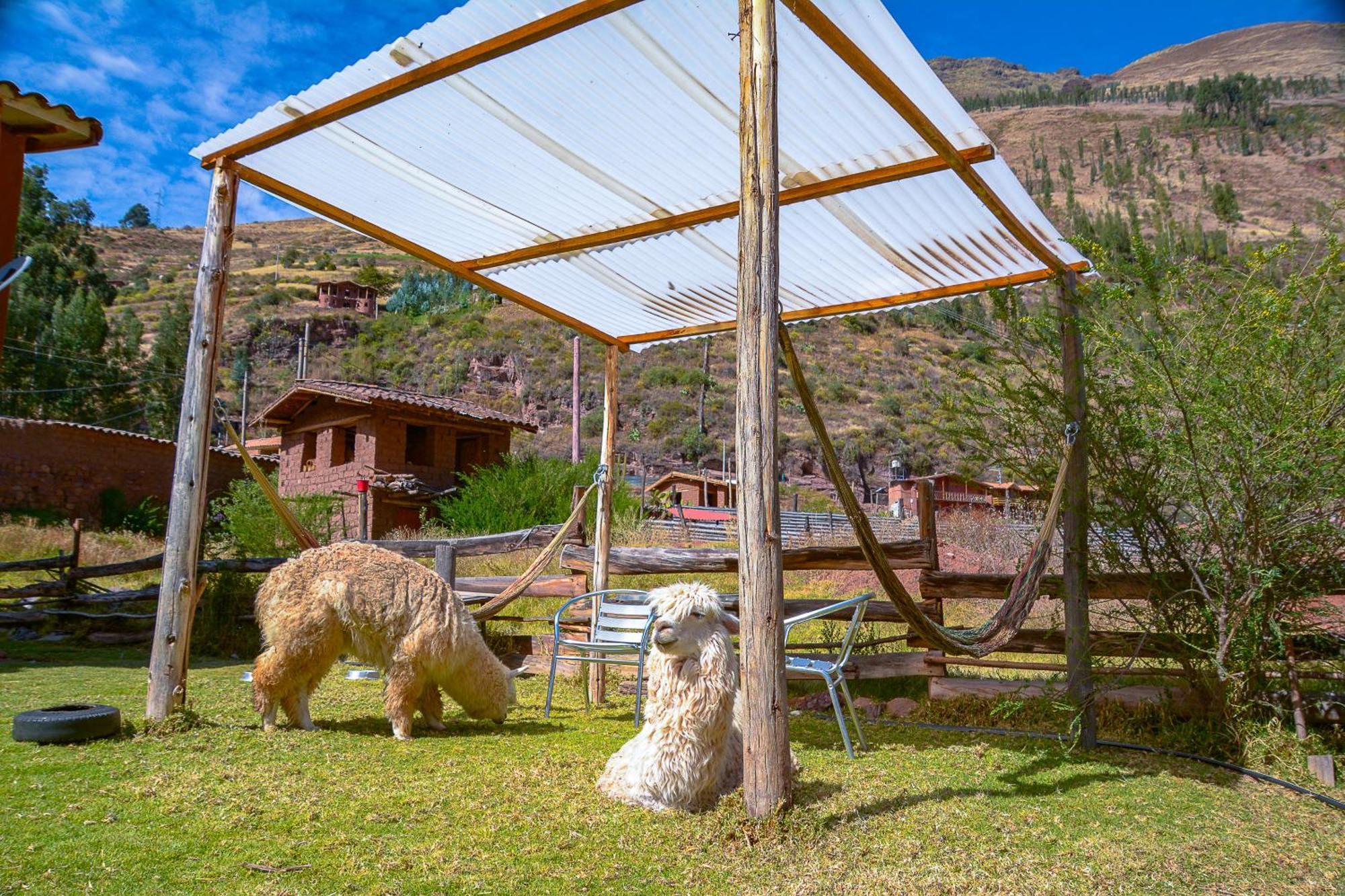 Manchitas Wasi Apartment Pisac Exterior photo